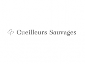 Marketing digital Cueilleurs Sauvages