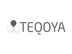 Digital marketing à Lausanne pour Teqoya